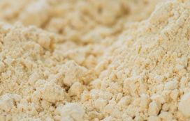 Soy Protein Concentrate Powder for Animal Feed