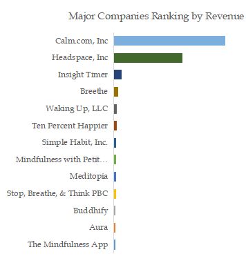 Mindfulness Meditation Apps Top 13 Players Ranking and Market Share