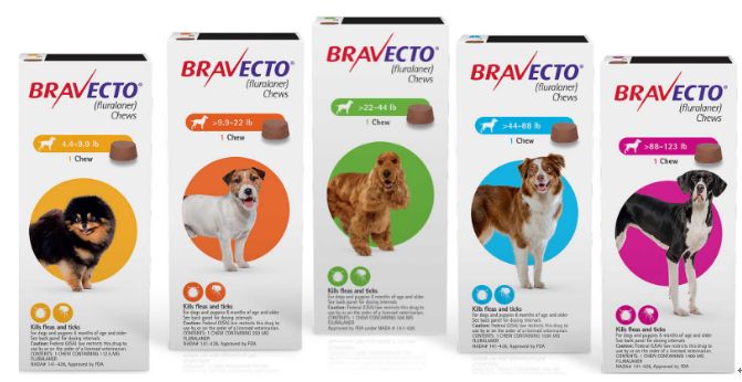 Veterinary Products for Companion Animals