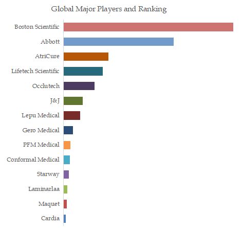 Cardioembolic Stroke Occluder Top 14 Players Ranking and Market Share