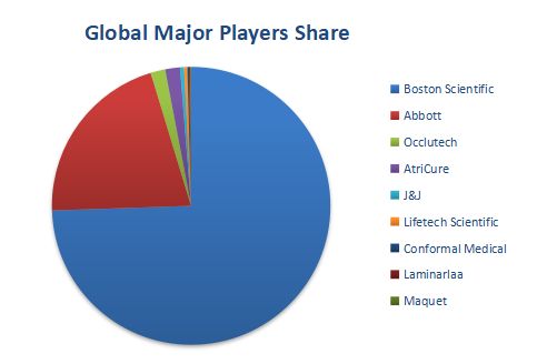 Left Atrial Appendage Occluder Top 9 Players Ranking and Market Share