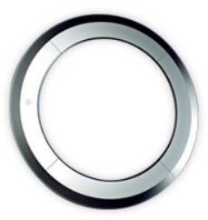 Silicon Ring