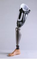  Lower Limb Prosthetics