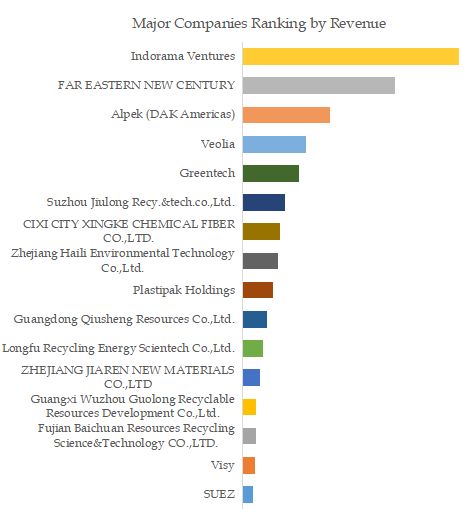 Recycled PET Chips Top 16 Players Ranking and Market Share